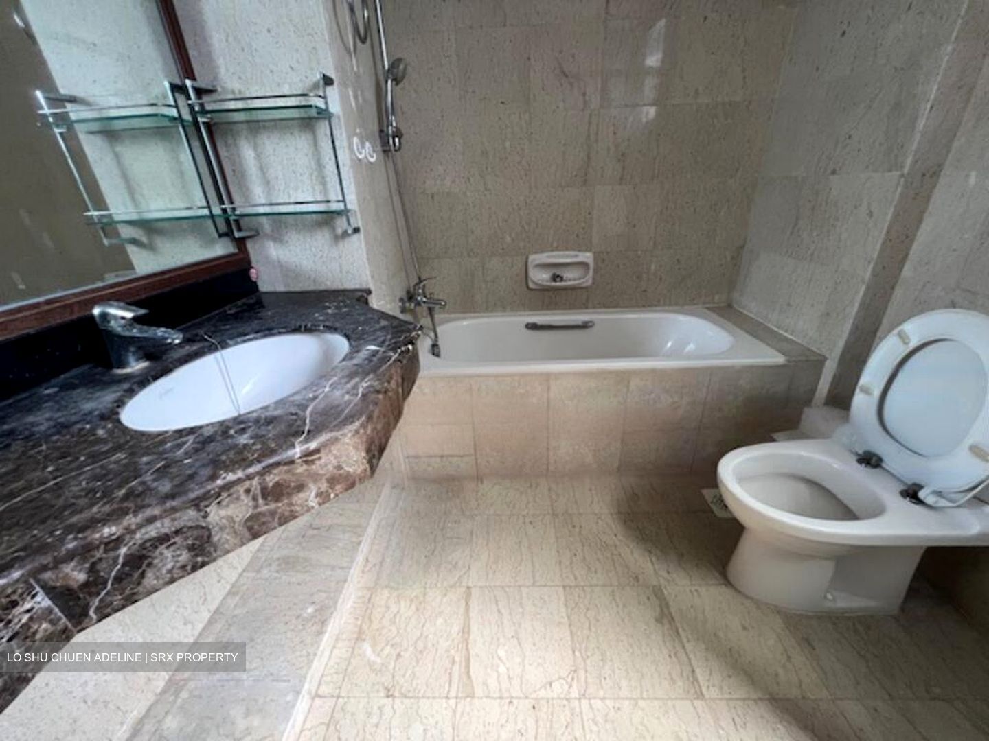 Carissa Park Condominium (D17), Condominium #460847691